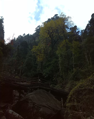 郴州 莽山国家森林公园 自驾